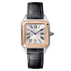 Cartier Santos-Dumont 38 x 27.5 mm W2SA0038