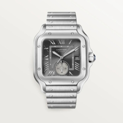 Cartier Santos de Cartier Dual Time  40.2 mm WSSA0076