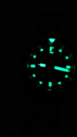 Sinn U1 DS 1010.0351 (kundesalg)