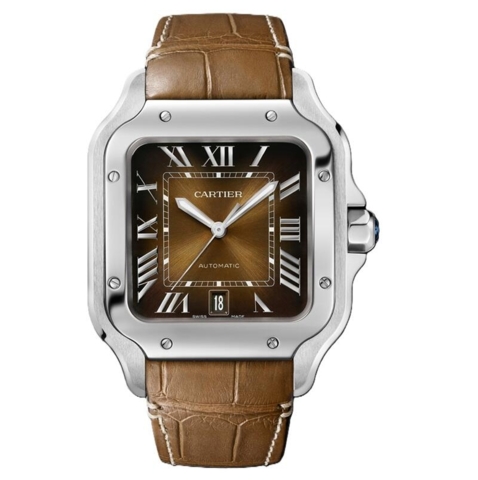 Cartier Santos De Cartier 39.8mm WSSA0064