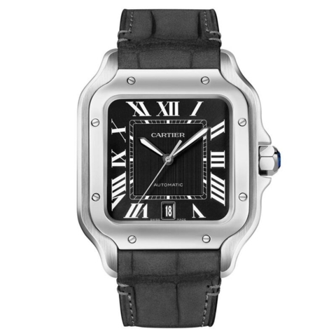 Cartier Santos De Cartier 39.8mm WSSA0096