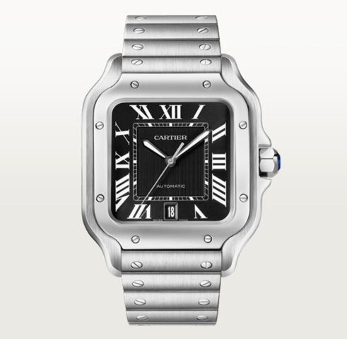 Cartier Santos De Cartier 39.8mm WSSA0096