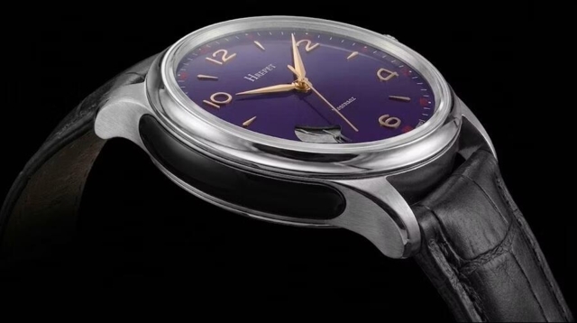 Schaumburg Hrepet Resonanz II