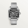Cartier Santos de Cartier 39.8 mm WSSA0037