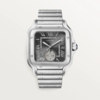Cartier Santos de Cartier Dual Time  40.2 mm WSSA0076