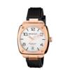 Briston Streamliner Urban - HMS Auto - Gold - White