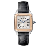 Cartier Santos-Dumont 38 x 27.5 mm W2SA0038