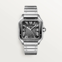 Cartier Santos de Cartier 39.8 mm WSSA0037