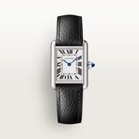 Cartier Tank Must SolarBeat 29.5 x 22 mm WSTA0119